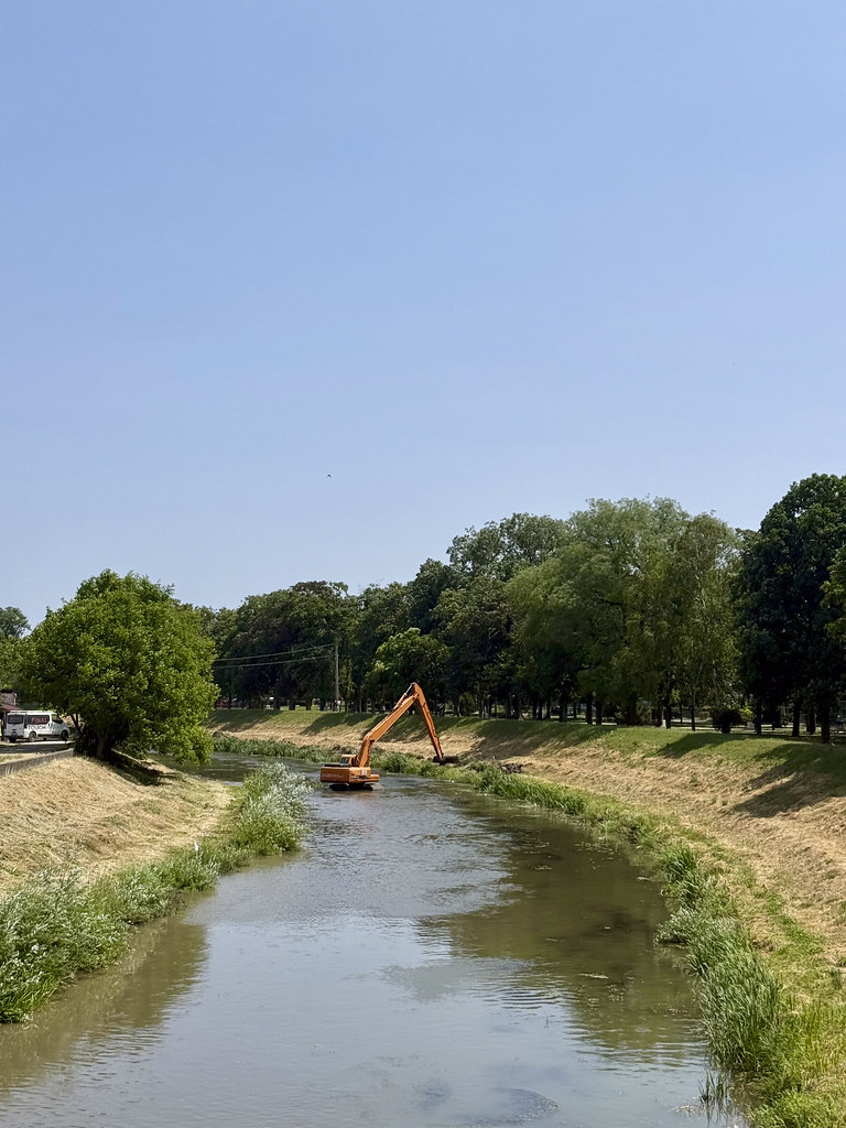 Excavator clearing vegetation and brush from overgrown ground