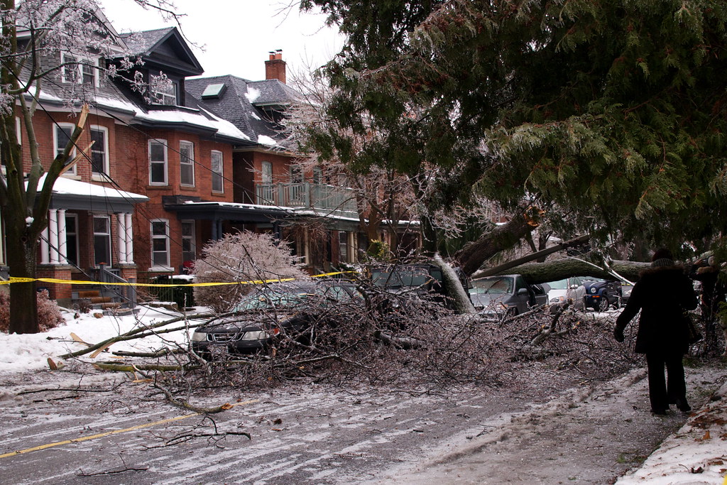 Storm-felled tree crushing a vehicle beside a home
